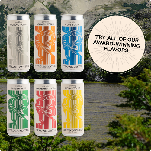 Strongwater | Ginger Beer 4-pack