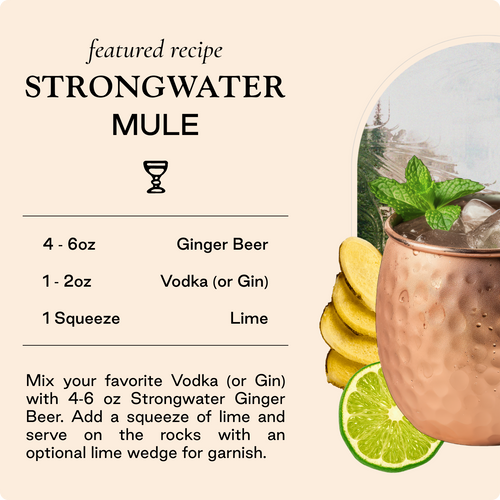Strongwater | Ginger Beer 4-pack