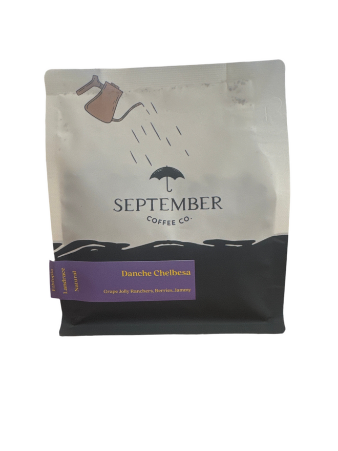 SEPTEMBER Coffee Co. | Danche Chelbesa, Natural, Landrace, Gedeb, Ethiopia 250g
