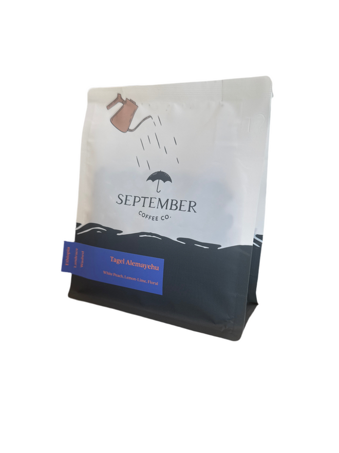 SEPTEMBER Coffee Co. Tagel Alemayehu, Washed, Landraces, Guji, Ethiopia 250g