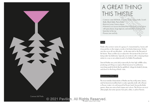 The Joy of Weeds | Paul Farrell