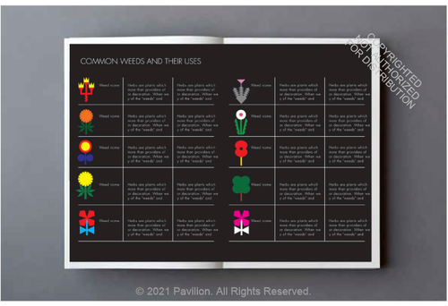 The Joy of Weeds | Paul Farrell