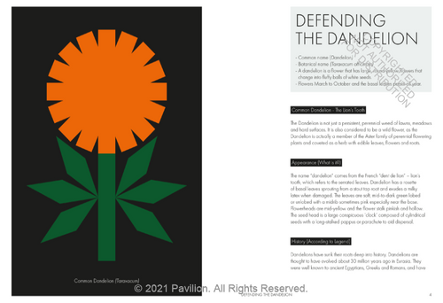 The Joy of Weeds | Paul Farrell