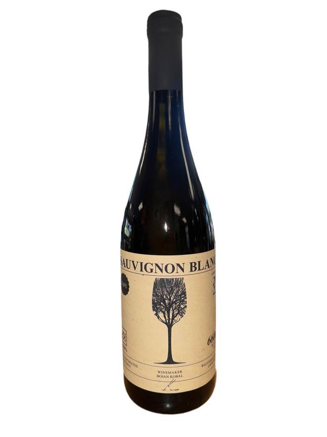 2022 Kobal ‘Roots’, Sauvignon Blanc, Haloze, Štajerska, Slovenia