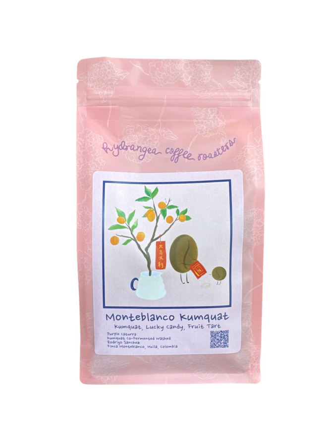 Hydrangea Coffee | Finca Monteblanco {Kumquat Co-ferment}, Purple Caturra, Huila, Colombia 8oz