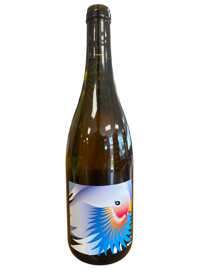 2023 Grape Republic ‘Bianco’ Niagara + Rosario Bianco, Nanyo City, Yamagata, Japan