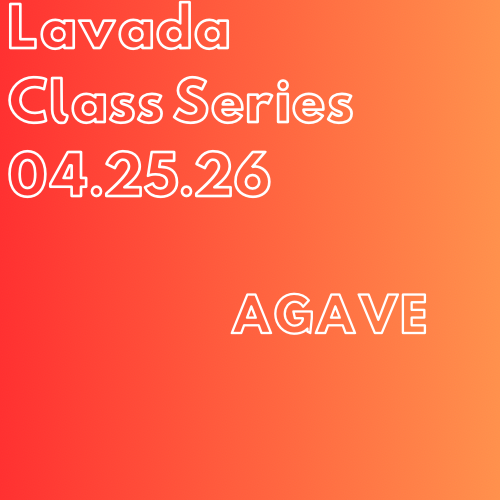 April Class | Agave